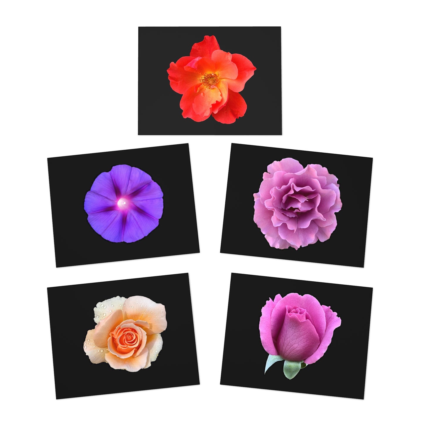 Vivid Flower Notecards